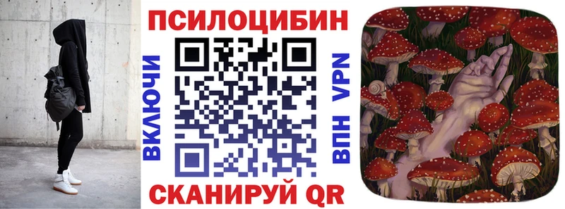 Купить где  Верхний Тагил  Псилоцибиновые грибы GOLDEN TEACHER 